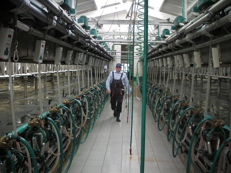 Специалисты сервисной службы проводят регламентные работы ТО1500. Доильный зал 2х18, сосковый силикон IQPro.